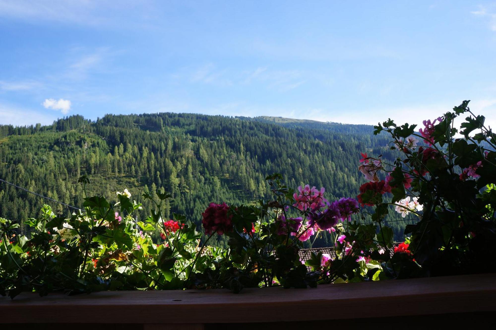 Haus Dorfblick Hotel Gerlos Kültér fotó